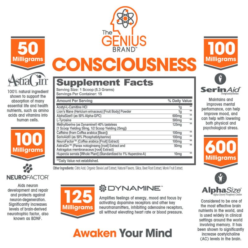 1000px Consciousness Facts